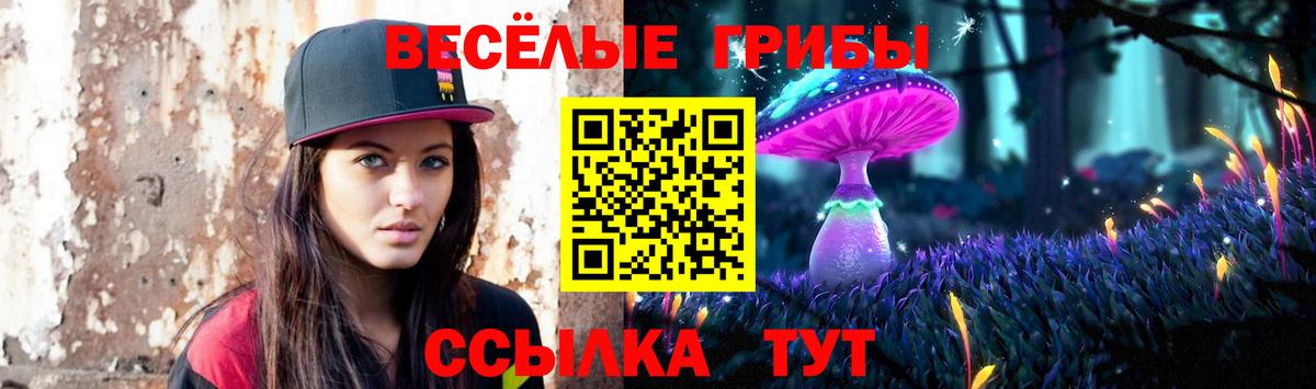 Галлюциногенные грибы GOLDEN TEACHER  Вход с VPN  магазин продажи   Сертолово 